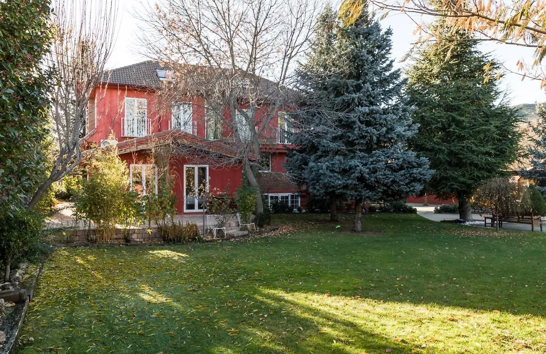 B&B Concha-1