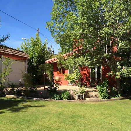 B&B Concha-3
